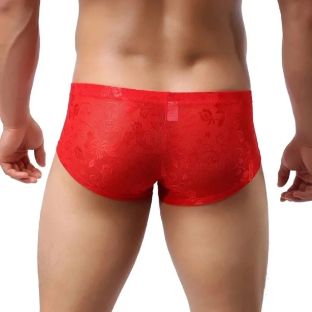 Men’s Mini Boxer Shorts Sexy Lace Sheer Underwear